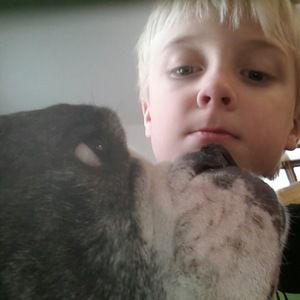 Meet your Posher, Dylan